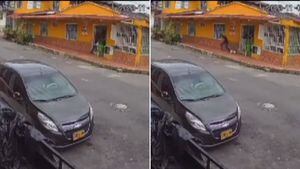 Foto: Video Twitter