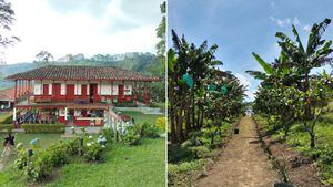 Planes para disfrutar del Quindío en la temporada de las vacaciones