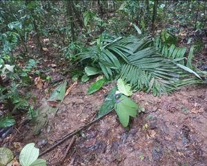 Niños avioneta accidente Caquetá