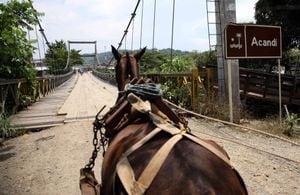 Acandí, Chocó es una de esas poblaciones que hacen parte del tapón del Darien. Foto: León Darío Peláez