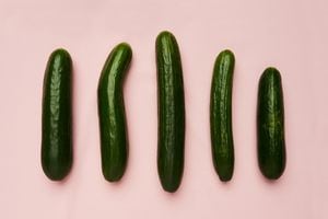 Studio shot of a row of cucumbers against a pink background