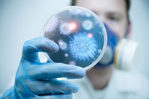 Un científico sostiene una placa con virus y células bacterianas
