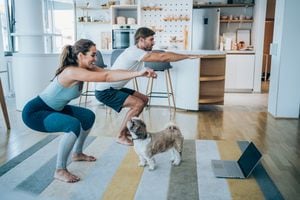 Beautiful young couple and their cute pet dog doing workout at home. Young couple doing exercises while watching workout video. Young man and young woman in sports wear doing workout at home. Couple using laptop while doing stretching exercises. Couple staying in front of laptop and watching online sport lessons. Couple exercising and watching online fitness live streaming classes.
