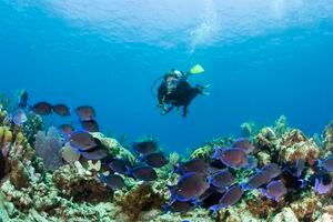 Grand Turk Island, Turks and Caicos