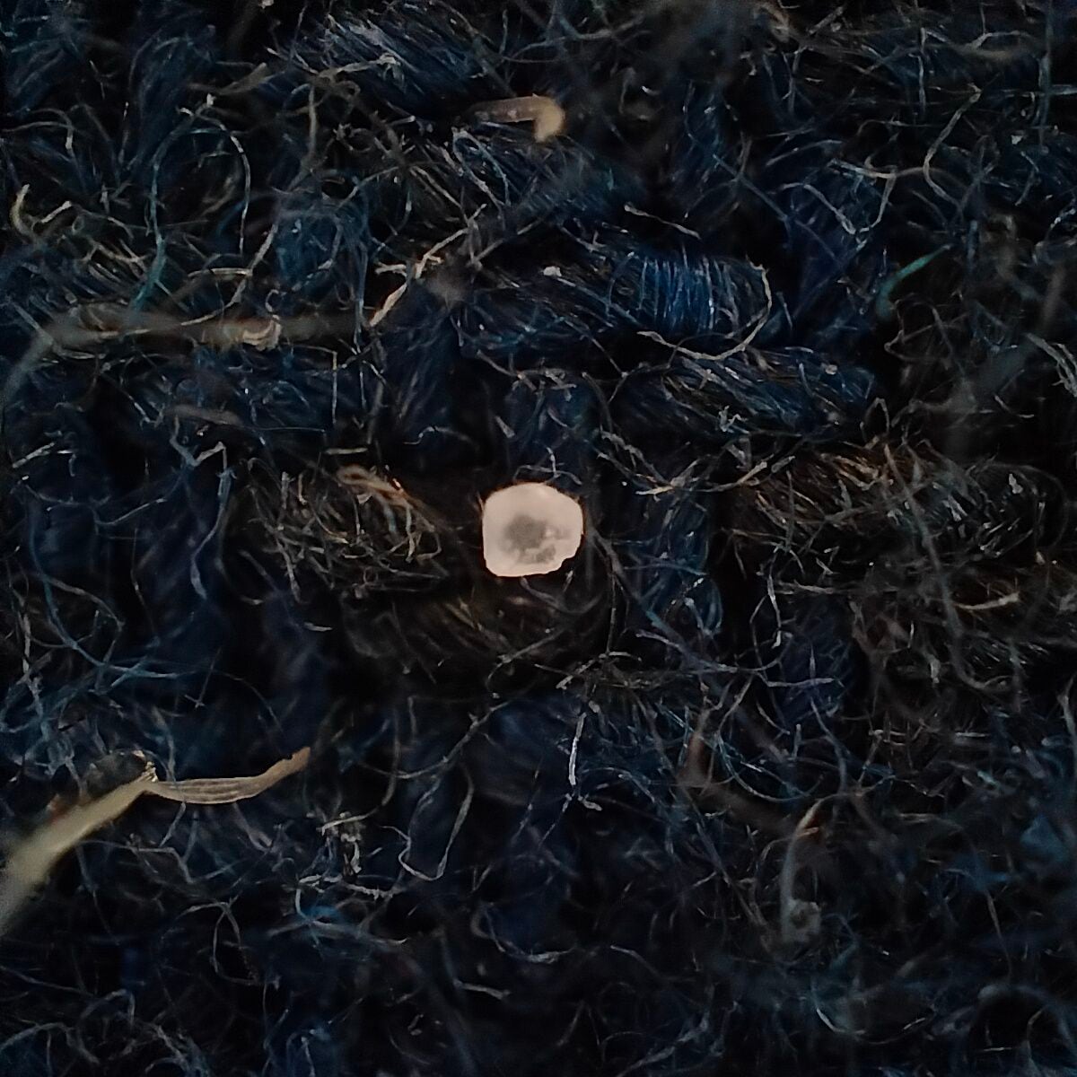 Foto microscópica grano de sal sobre tela