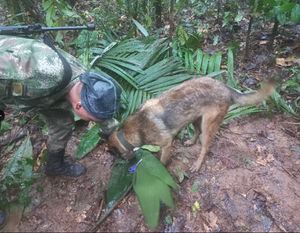 Niños avioneta accidente Caquetá