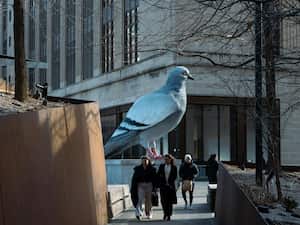 La monumental paloma de Iván Argote que domina el High Line de Nueva York