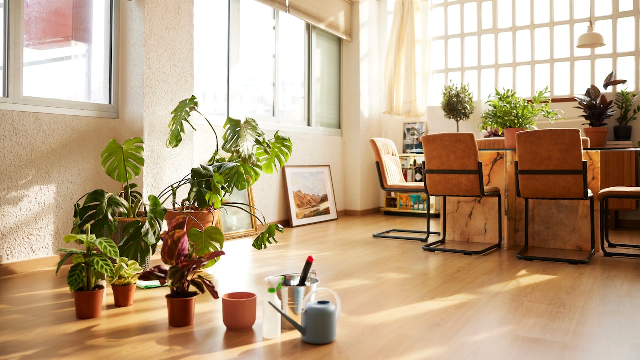 Las plantas que atraen el amor, según el feng shui