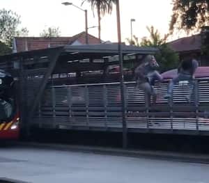 Colados transmilenio