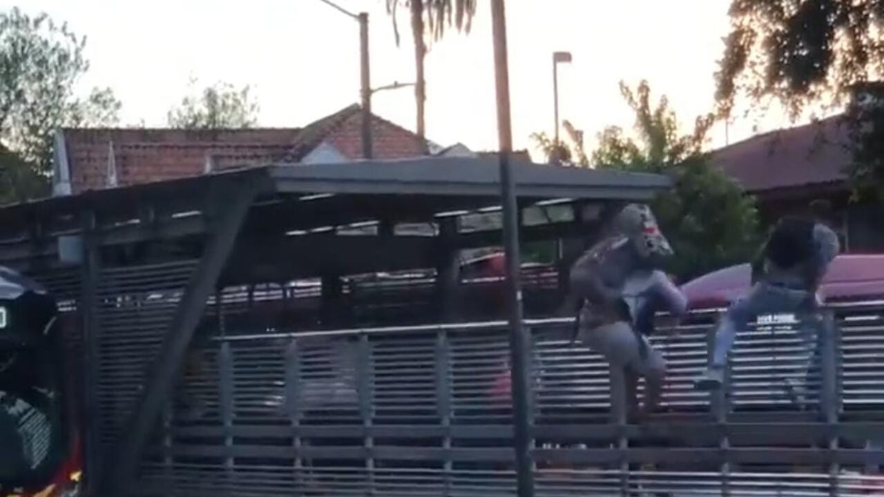 Colados transmilenio