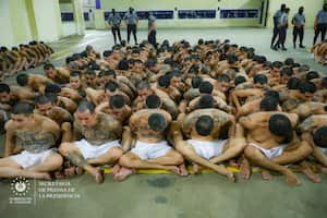 Rapados y en pantalonetas; el traslado del os primeros presos a la Cecot, super cárcel de El Salvador, considerada la más grande de América.