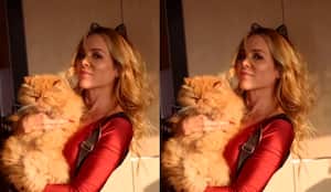 La modelo habló de la muerte luego de perder a su gato.