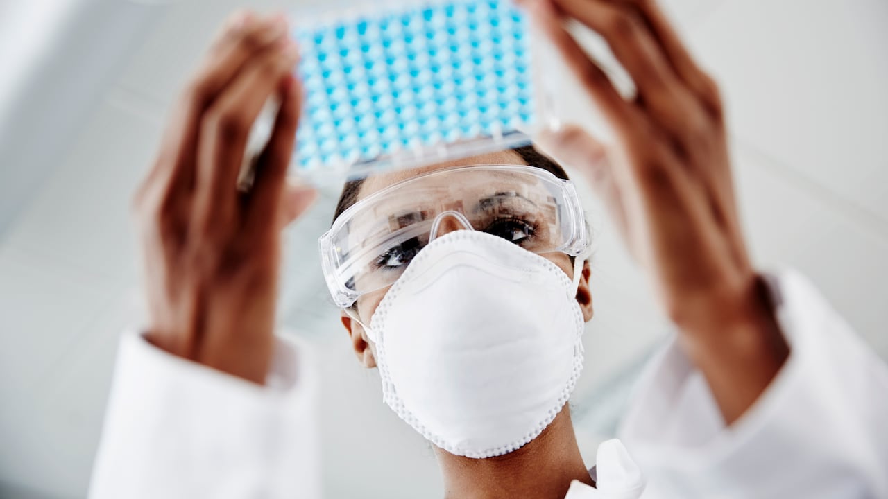 Enfermedades nuevas virus
