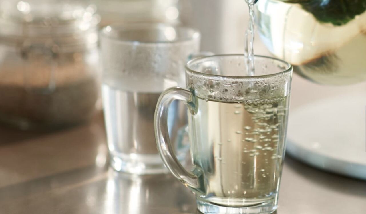 La menta es una aliada del organismo.