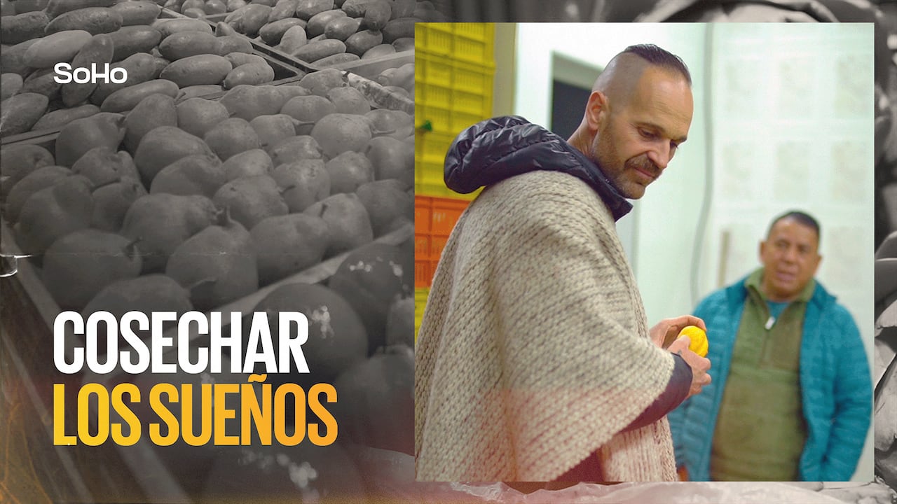 Los Sierra en Corabastos