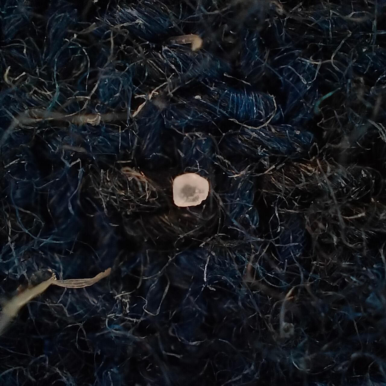 Foto microscópica grano de sal sobre tela