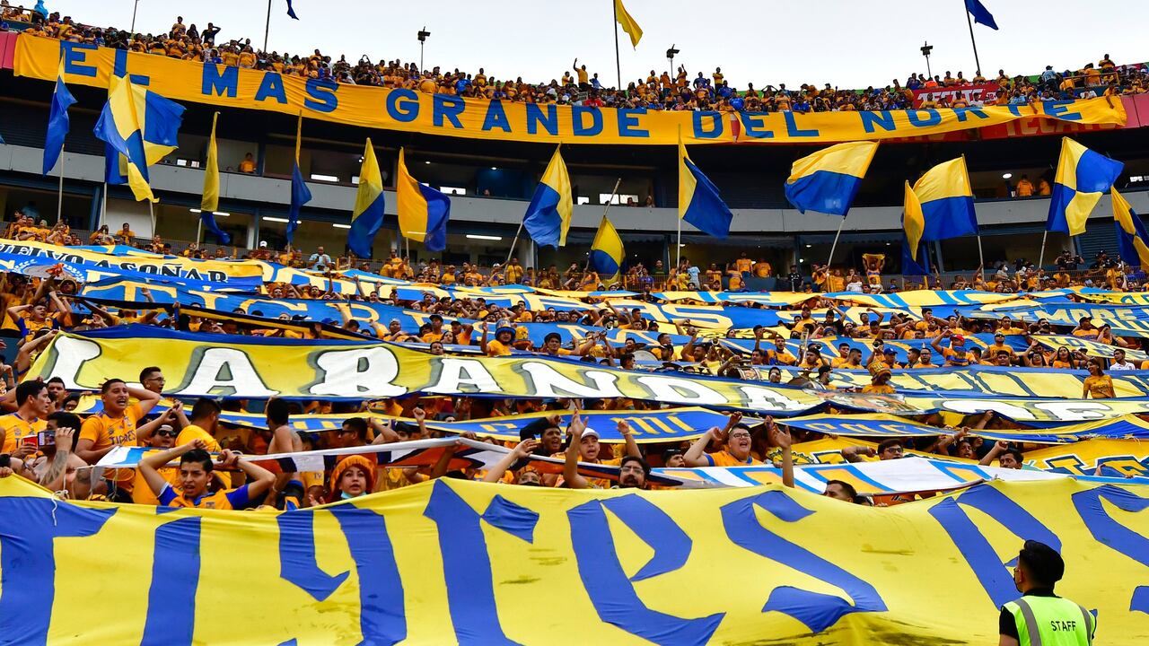 Aficionados del equipo Tigres UANL de México durante un partido de la Liga Mexicana.