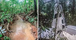 En este punto se encontraron los restos de la aeronave y los cuerpos de los tres adultos que viajaban en ella. Los cuatro niños, según señalan rescatistas, habrían salido con vida del siniestro. Las labores de búsqueda se concentran en la zona cerca al río Apaporis, ubicada en la espesa selva del Guaviare.