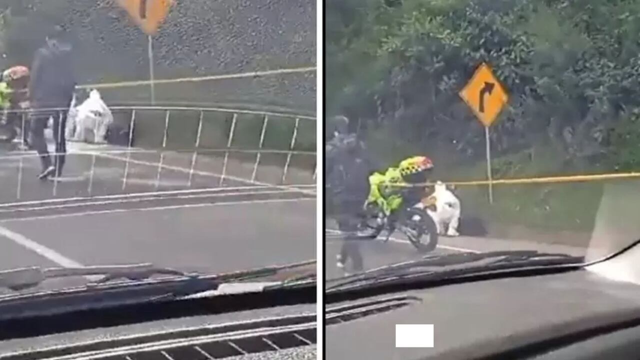 En terroríficas condiciones, así encontraron dos cadáveres en plena carretera colombiana