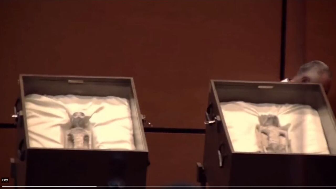 Cadáveres de extraterrestres encontrados en Perú
X @UHN_Plus