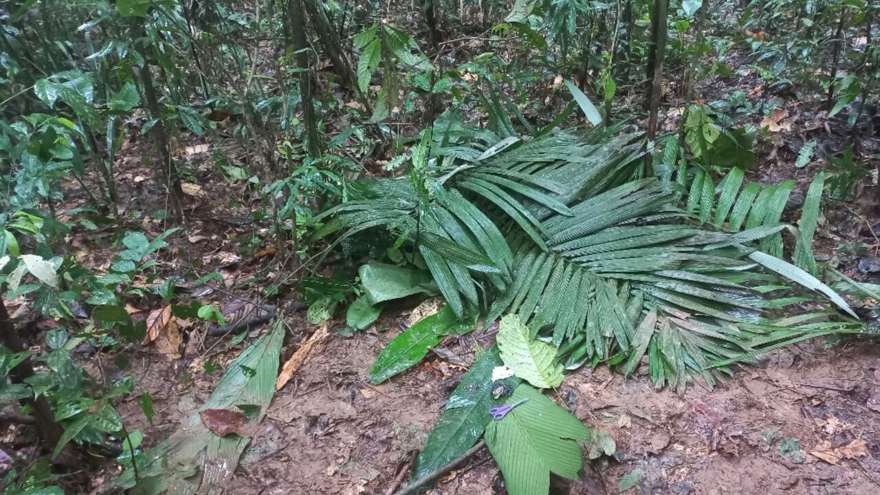 Niños avioneta accidente Caquetá