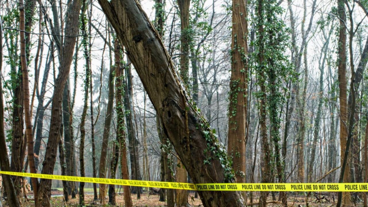 Algunos cadáveres encontrados son irreconocibles debido a su grado de descomposición (imagen de referencia)