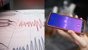 Luego de la cadena de sismos, comenzaron a circular falsos audios sobre posibles réplicas.