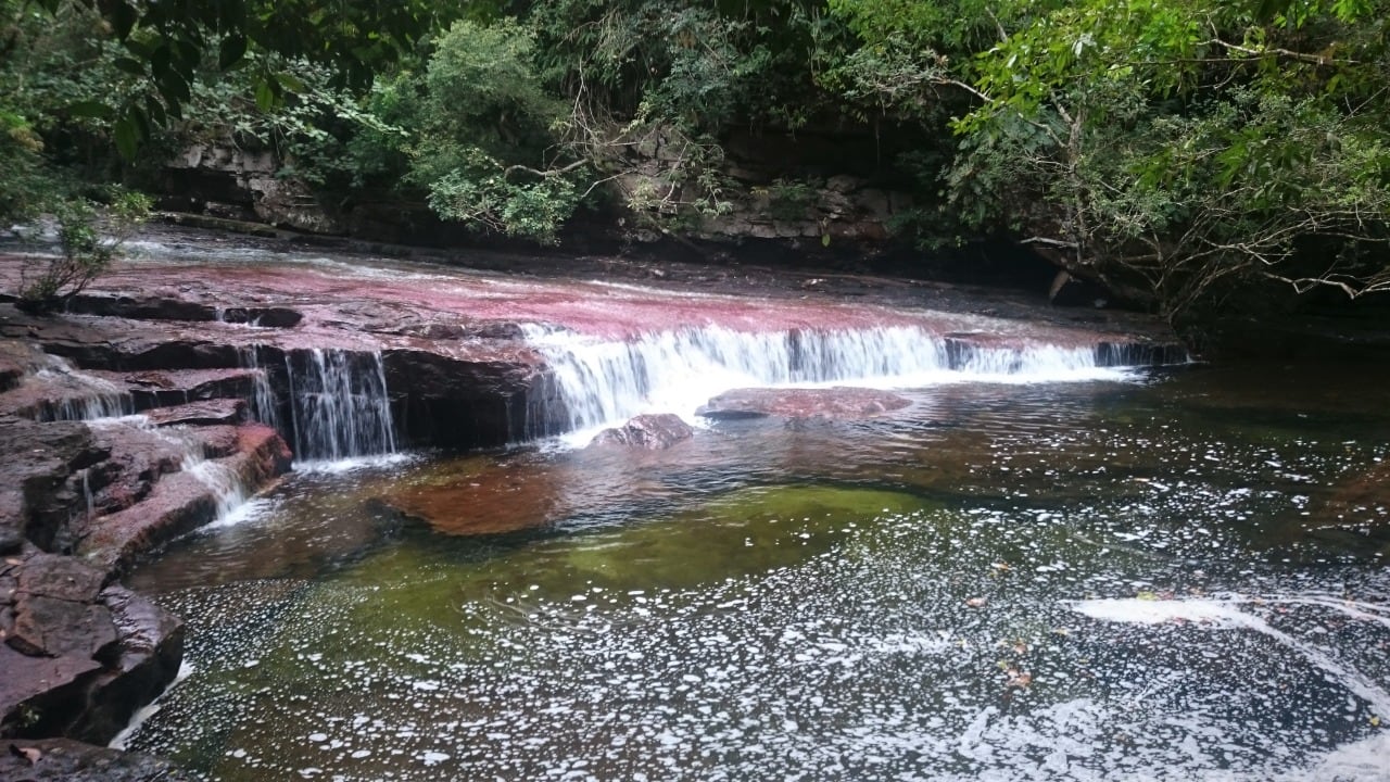 Autoridades ambientales hacen un llamado a respetar las normas de los parques para proteger la biodiversidad.