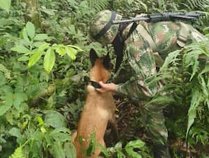 El general Pedro Sánchez señala que las posibilidades de encontrar a Wilson son escasas.