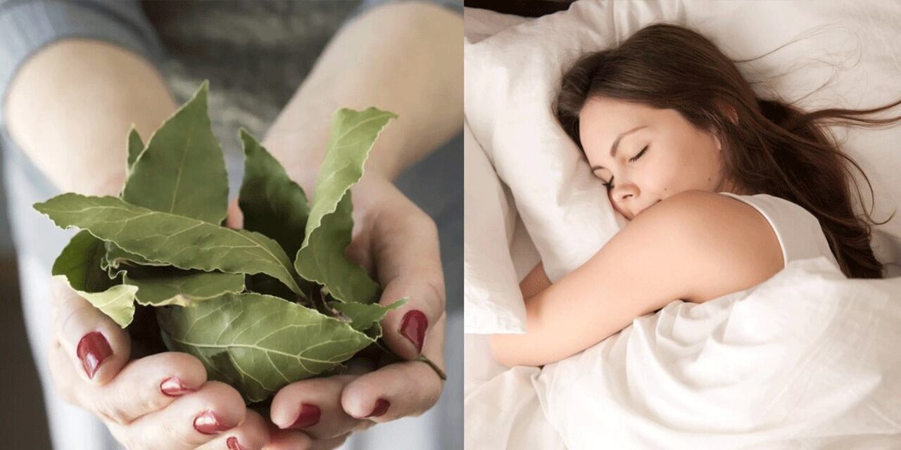 Dormir con hojas de laurel debajo de la almohada atrae el dinero.
