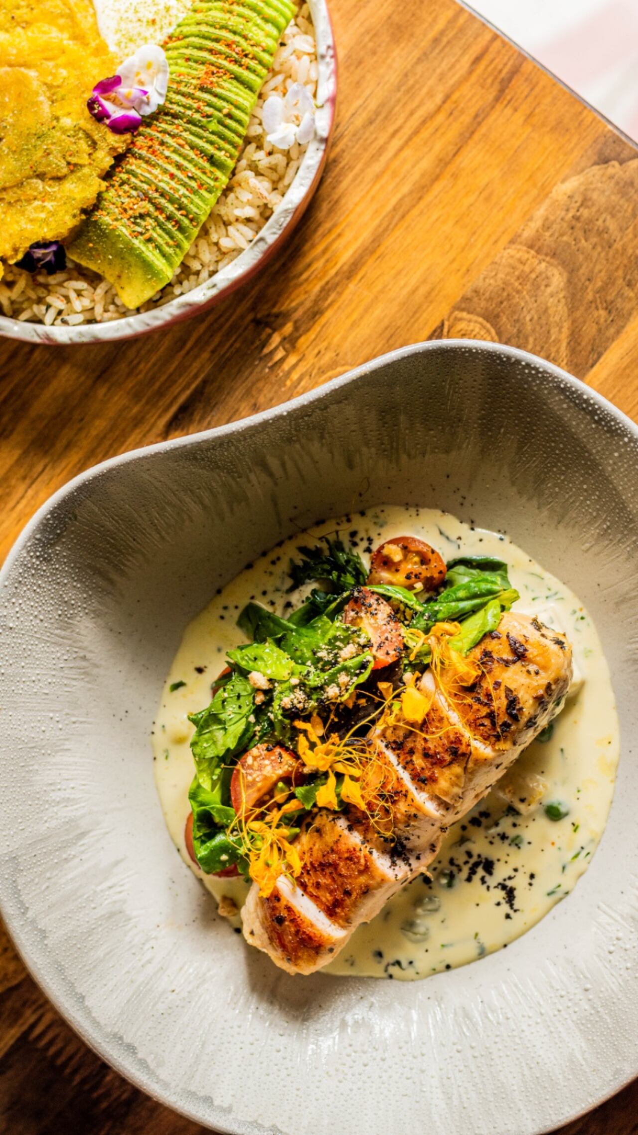 Tierra: el sabor Nikcol que conecta tradición, innovación y sostenibilidad en Cartagena