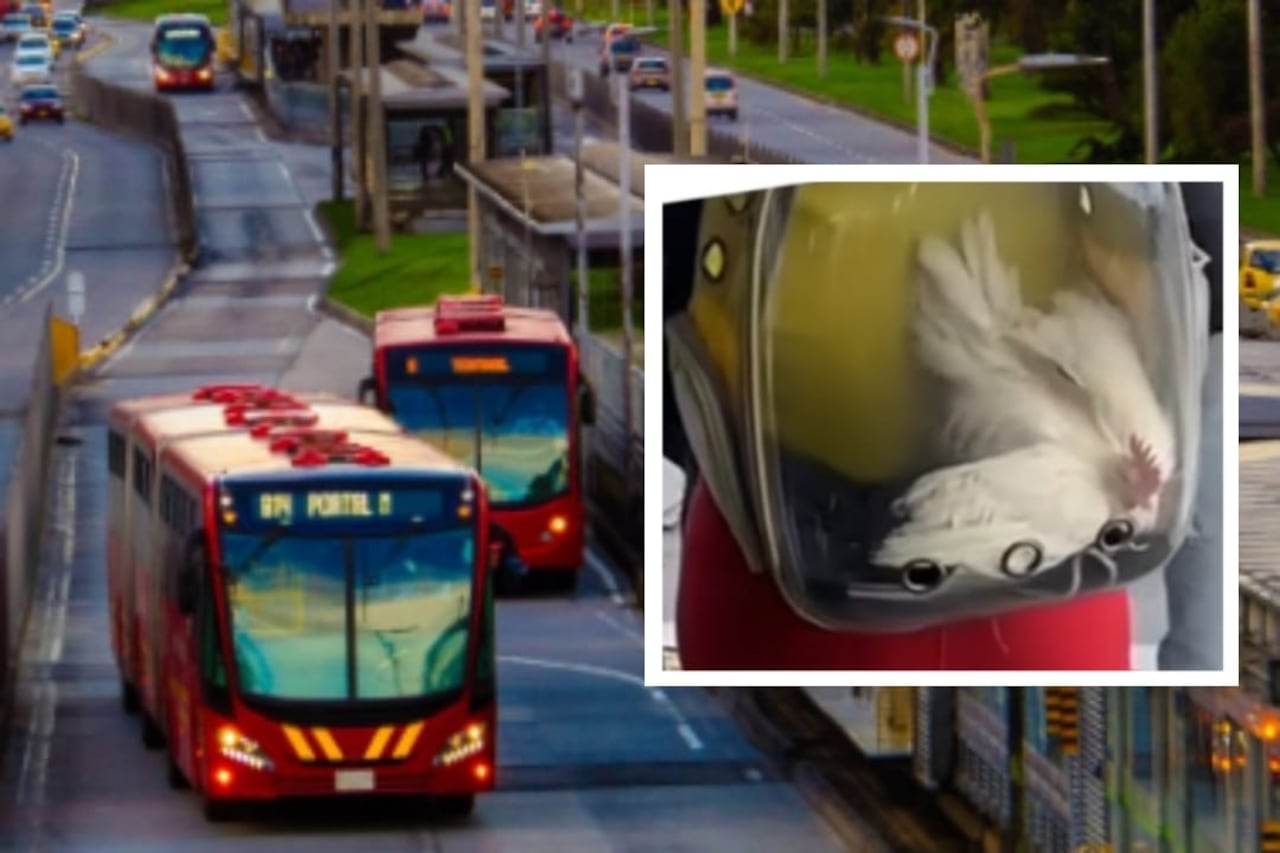 TransMilenio