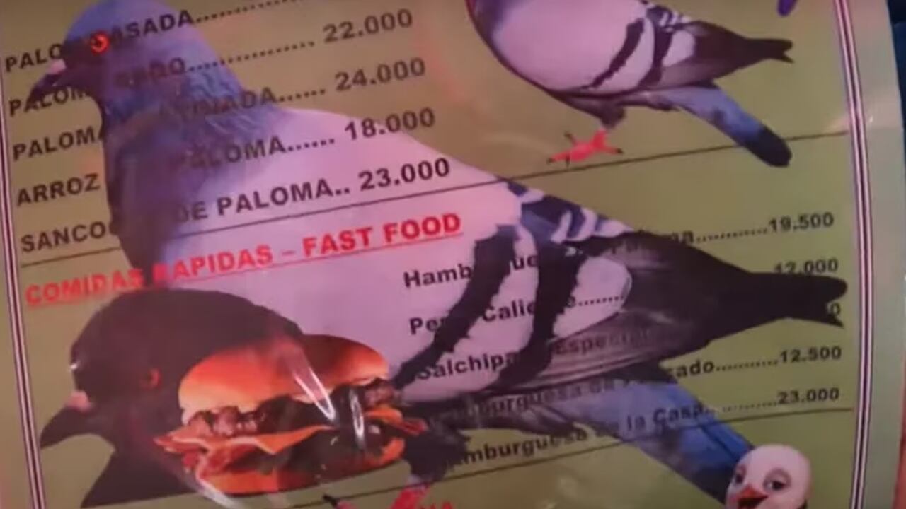 ¿Comería paloma? Esta es la nueva y curiosa apuesta gastronómica que se ofrece en Bogotá