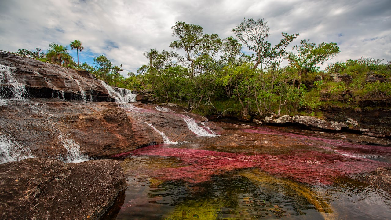 Caño Cristales, una de las maravillas naturales más hermosas del mundo