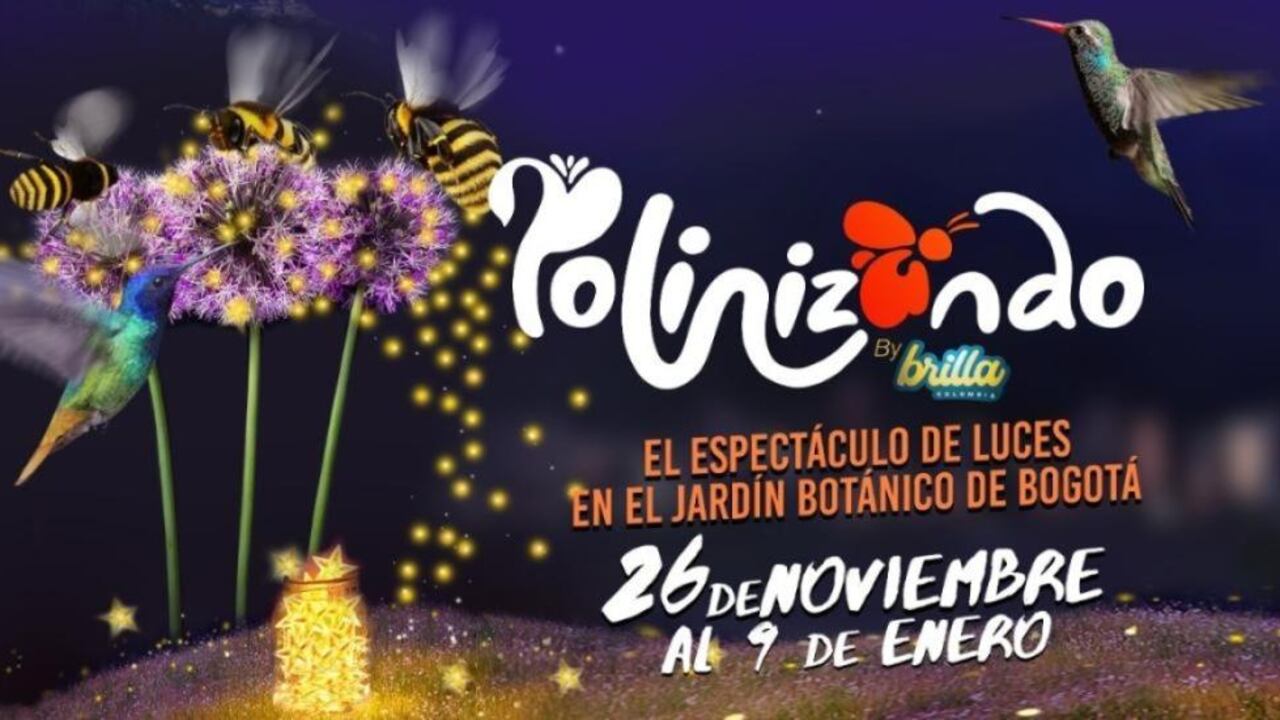 Jardín Botánico eventos de navidad