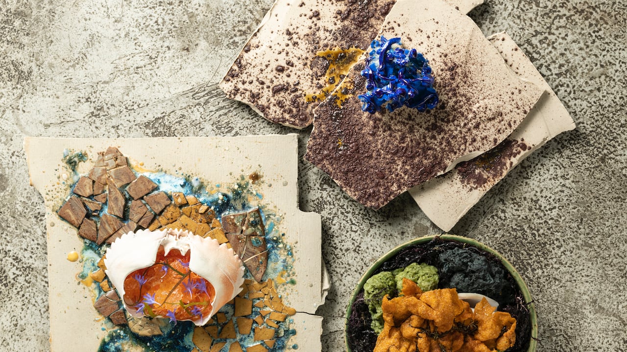 Rocas negras, sargazo, almejas y calamar, una exploración de lo que pasa a 10 metros bajo el nivel del mar.