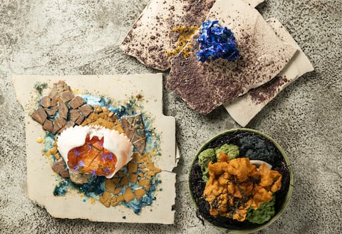 Rocas negras, sargazo, almejas y calamar, una exploración de lo que pasa a 10 metros bajo el nivel del mar.