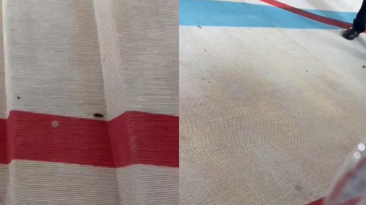 Cucaracha en los MET Gala