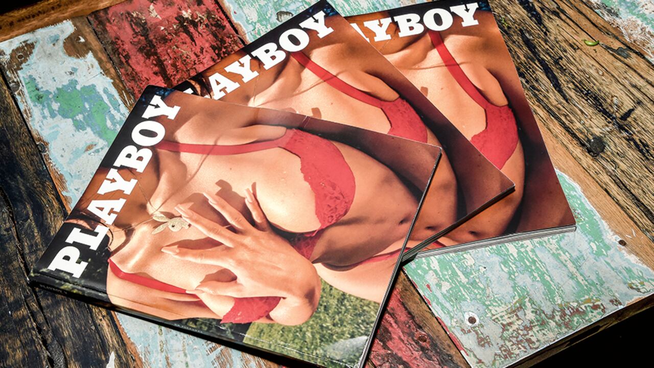 Dicen que Hefner era cocainómano. Había tanta droga en la casa que hasta un perro se volvió adicto. También tomaba anfetaminas para estar alerta.