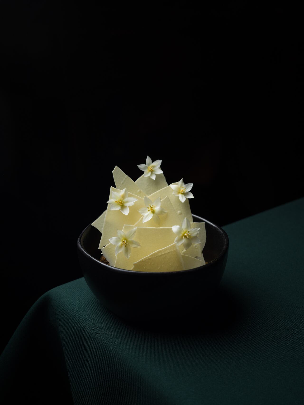 Tejas de leche y flor estrella de belén un postre que representa el bosque seco tropical.