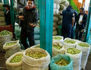 CORABASTOS
ARVEJA
CENTRAL DE ABASTOS BOGOTA
PRODUCTOS CANASTA FAMILIAR
AGOSTO 22 2013
FOTO GUILLERMO TORRES REVISTA SEMANA