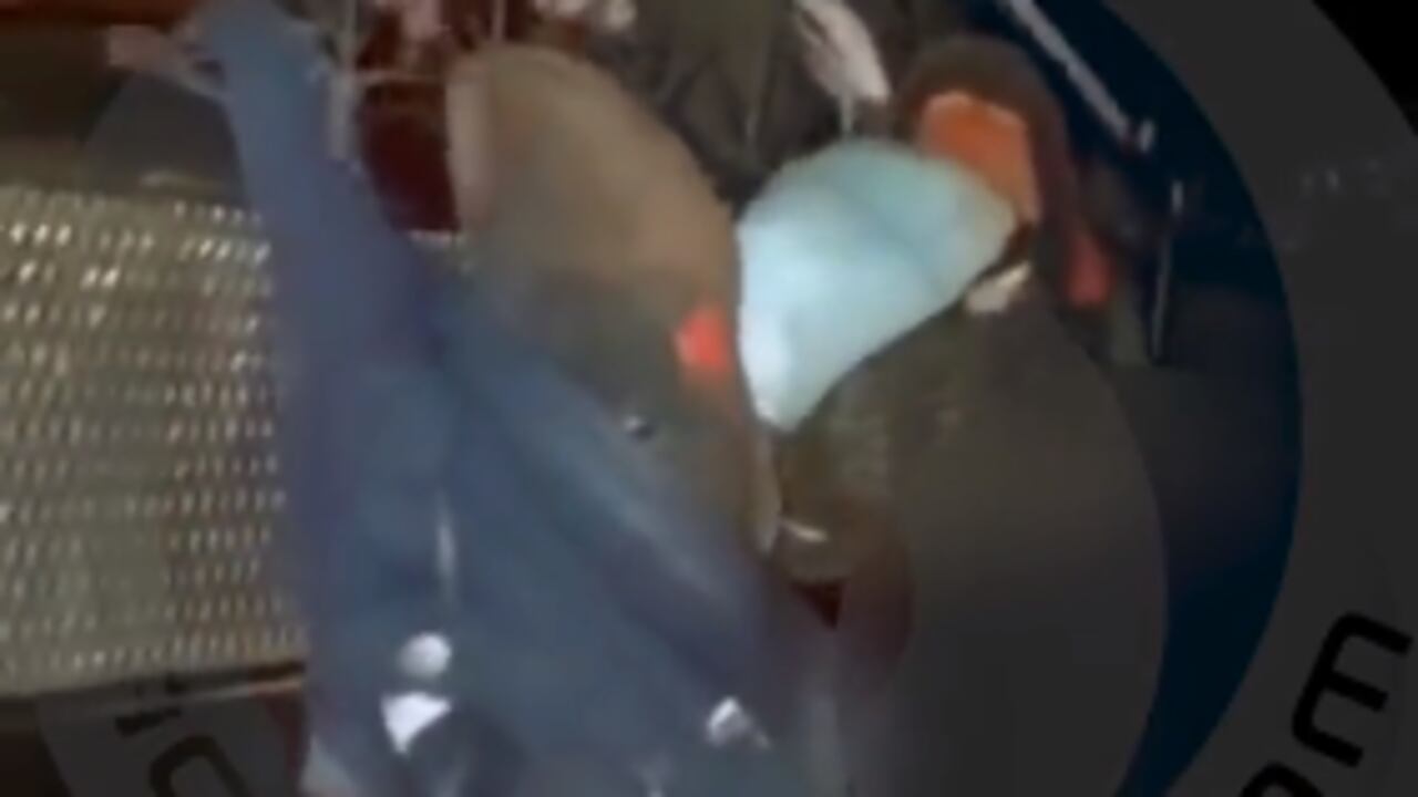 quedó atrapado en la reja