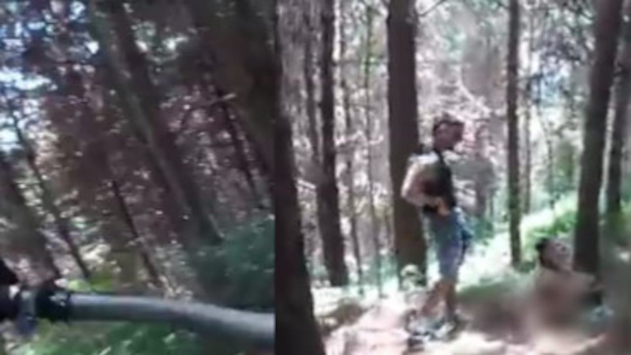 Pareja sosteniendo relaciones en el bosque