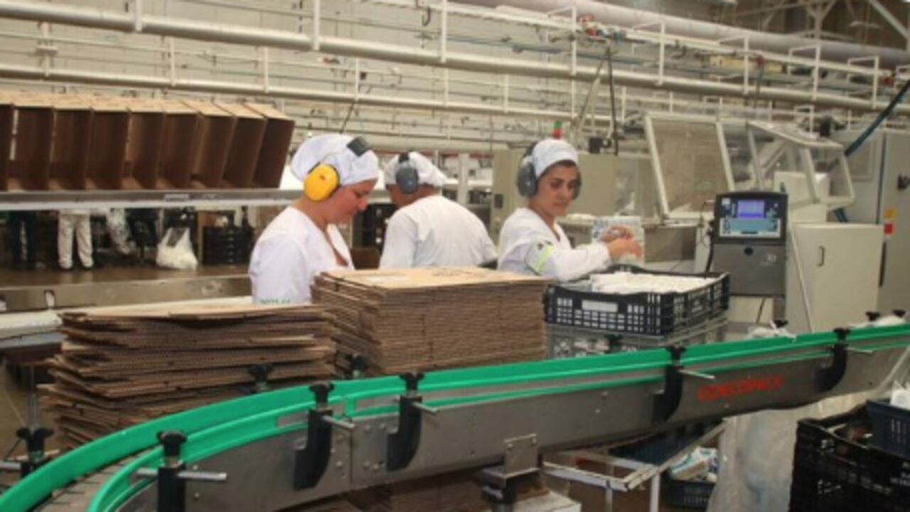 ¿Quebró o es un éxito? Así va la empresa que redujo jornada laboral a cuatro días