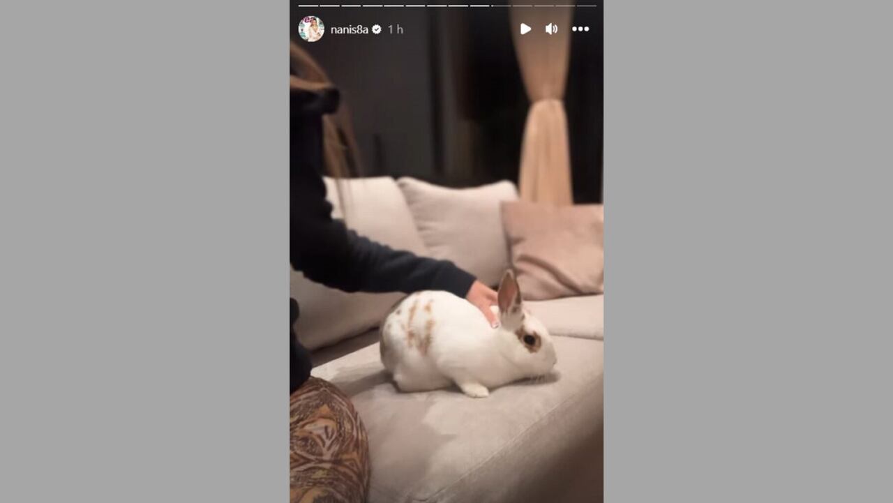 Nani Ochoa
Instagram:@ nanis8a