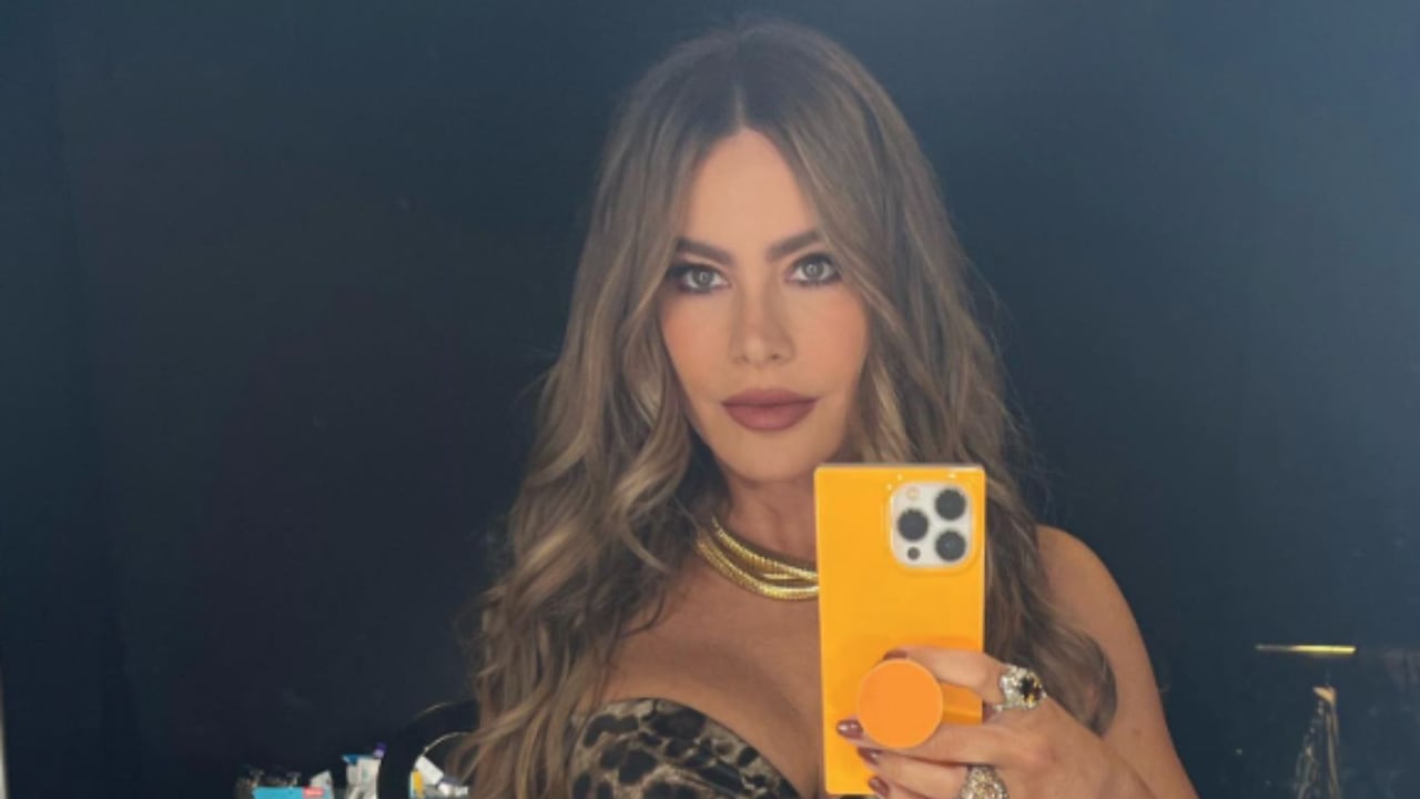 Foto: Instagram @sofiavergara