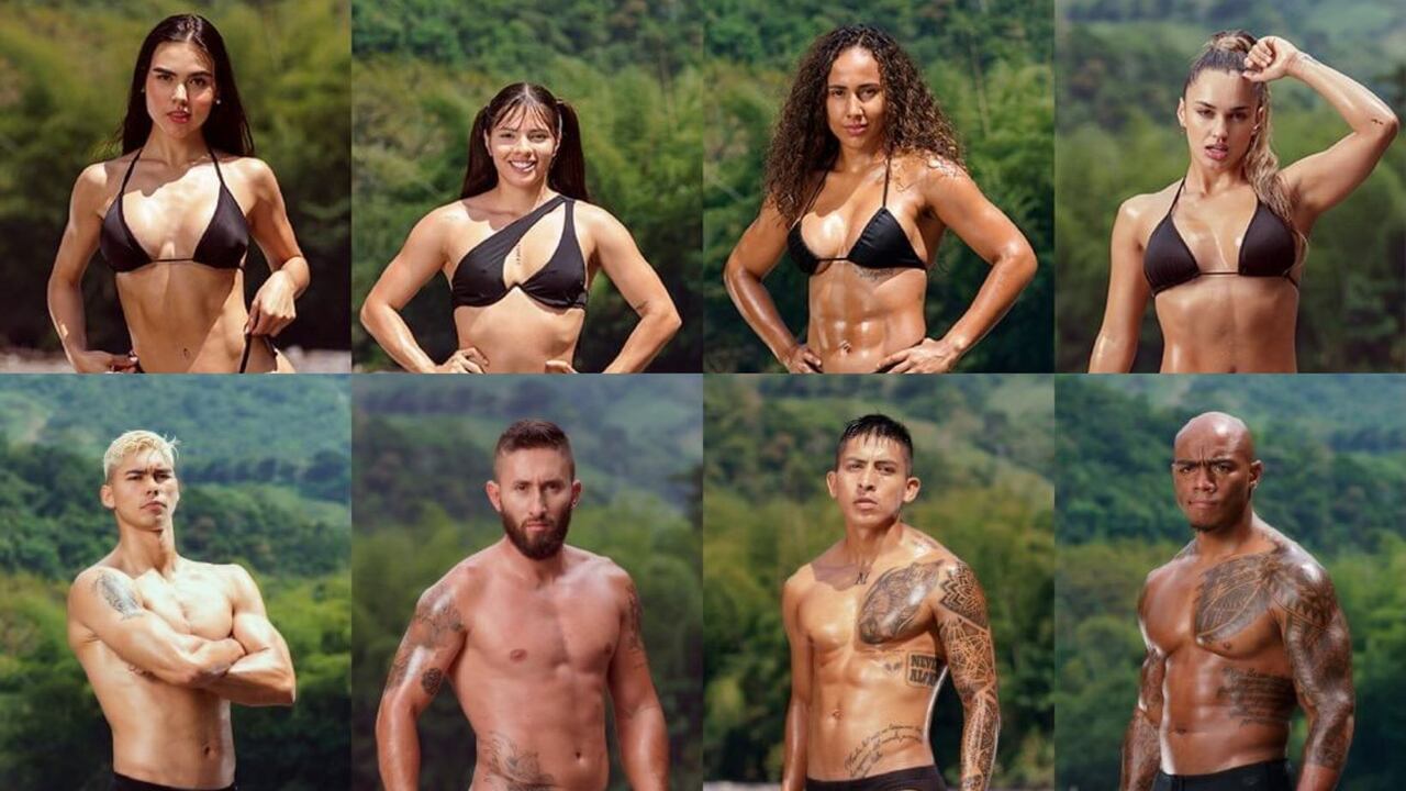 Así puede votar por su participante favorito del 'Desafío'