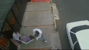 Robo de un minipig en Bogotá