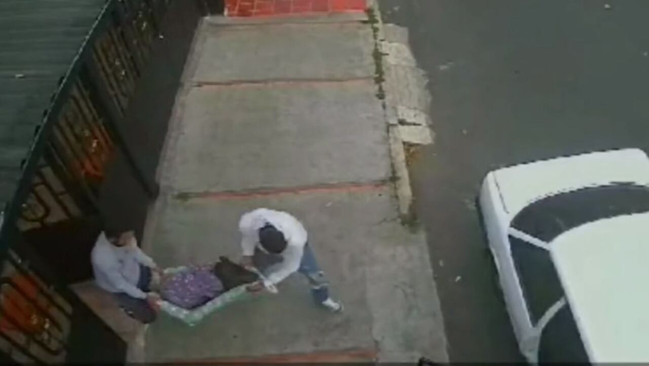 Descarados: a plena luz del día ladrones ingresaron a una casa para secuestrar un marrano