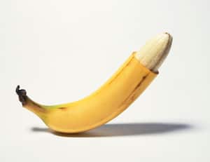 A free standing banana with the tip cut off, photographed against a white background on 5x4 film stock.